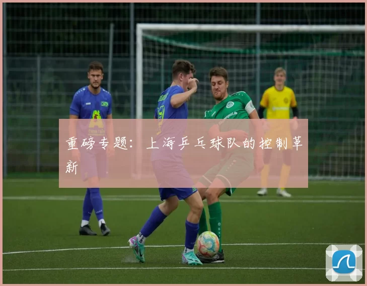 重磅专题：上海乒乓球队的控制革新
