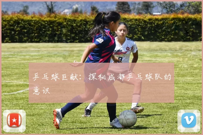乒乓球巨献：探秘成都乒乓球队的意识