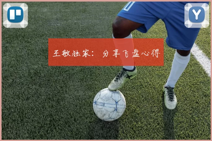 王敏独家：分享飞盘心得