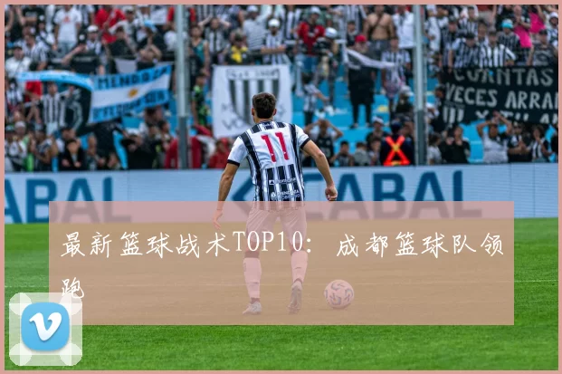最新篮球战术TOP10：成都篮球队领跑