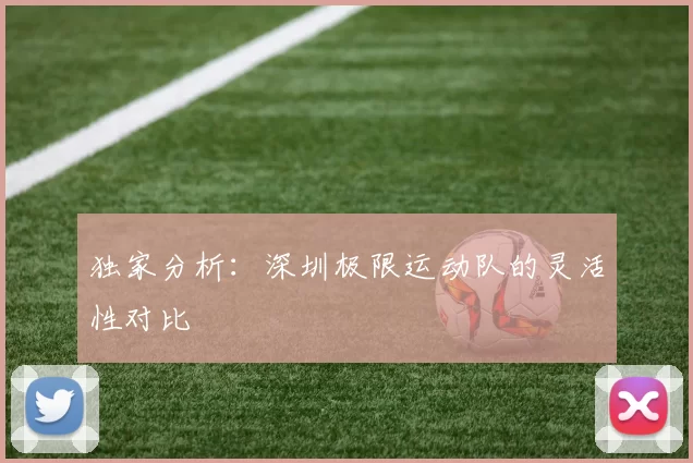 独家分析：深圳极限运动队的灵活性对比