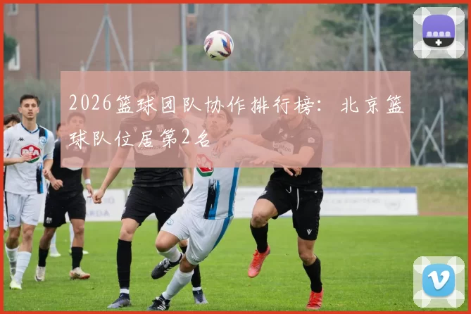 2026篮球团队协作排行榜：北京篮球队位居第2名