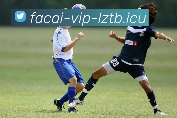 乐鱼体育品牌故事