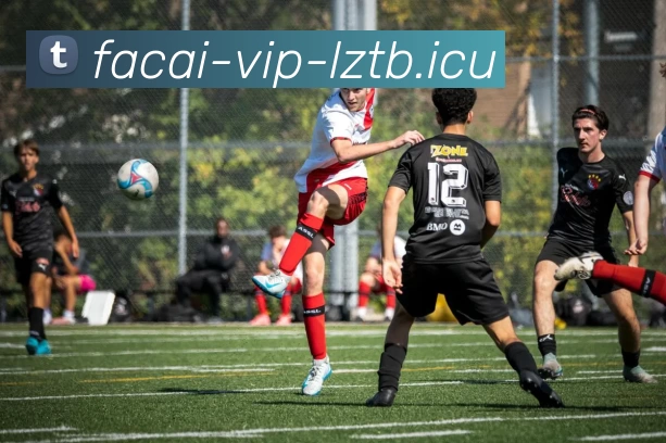 乐鱼体育服务体系